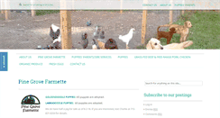 Desktop Screenshot of pinegrovefarmette.com